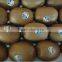 environmental Fruit label on roll Flexografic printing(manufacturer)