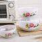 pp bowl shaped preservation box with transparent lid