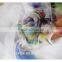 Hot fashion plain dye 6mm 100% pure silk chiffon fabric