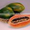 Fresh Red Lady Papaya from India/Mixed Vegetables/Fruits Directly from Farm