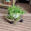 Round pine wood flower pot tray with wheel