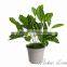 bonsai tree artificial flower table decoration fake bonsai tree for garden ornaments