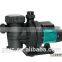 Svadon drive filter pump for swimming pool sand filter water pump