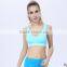Women Sport Bra,active Bra for Yoga, Female Top Quality Bra NY081