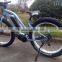 High quality 8FUN mid-motor tailg e bike with samsung cell lithium battery