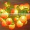 Development LED lights for Christmas decoration lights 10 meters to 200 head of green light tail lamp lights holiday lights Chri