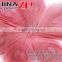 Leading Supplier CHINAZP Wholesale Wonderful Decorative Colored Pink Trimmed Peacock Feathers Eyes for Earrings