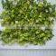 chinese dehydrated leek flake