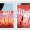 Excellent Alexandrite laser /755 hair removal / skin refreshment Alex laser device
