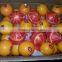 Fresh Navel Orange