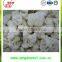 ISO 9001For export chinese high quality and compeitive price bulk IQF Frozen Cauliflower