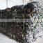 2016 China origin sun dried & thermal dried kelp cut