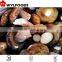 frozen boletus edulis yunnan for hot sale