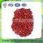 China good quality certified goji berries