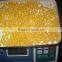New Crop Frozen Mixed Vegetables