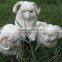 Realistic Taxidermy Replica Figurine Brown Mountain Goat
