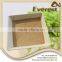 Private Custom Perferct Combination Supplement poultry amino acid powder