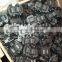 489051051 5970.53 60809606 76487970 ignition coil price