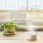 Portable Water Bottle Steam USB Humidifier Air Mist Diffuser