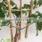 50cm garden bamboo trellis for supporting plants