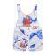 2017 summer children's wear wholesale baby clothes with flowers