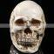 Artificial resin crafts skull heads wholesale home and holiday decoration