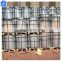 Hot rolled galvanized steel coil / gi steel coil