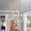 Indoor Decorative Hanging light LED pendant lamp LED Chandeliers pendant lights