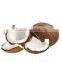 Coconut from 500gms to 600gm