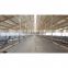 low cost steel structure goat farming house shed with slat floore equipment