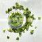 Sinocharm A Grade IQF Frozen Green Pepper Piece
