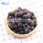 Frozen Fruit Fresh Taste IQF Frozen Blueberry With High Quality