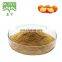 Flavonoid 10%, 20%, 30%, 40% Persimmon Leaf Extract