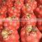 50x80cm Tubular leno mesh bag for oranges
