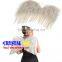 New Style fashion Angel wing swan wing feather for fashion shows