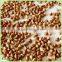 wholesale food grade brown roasted buckwheat kernels