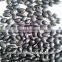 Small black kidney beans(2014 crop)