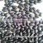 Chinese black kidney beans supplier ,2014 crop                        
                                                Quality Choice