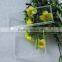 Tempered step glass