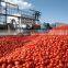 2016 New products canned tomato paste with premium grade