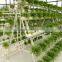 A type tower hydroponics system for greenhouse agriculture