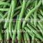 Canned French Green Bean Whole in Brine