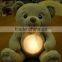 Light Up Teddy Bear Plush toy/Light Up Teddy Bear /Led Light Teddy Bear