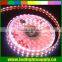 30led/m 2.4w/m IP33 IP65 IP68 low voltage 3528 led pixel tape