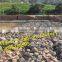 Gabion Tunnel Lining box