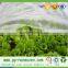 Weed control fabric /Polypropylene black landscape barrier/sun shade material