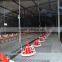 Top grade broiler poultry farm equipment