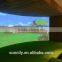 3D screen simulated golf