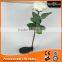 factory direct selling wireless and decorative outdoor solar lights solar rose flower light