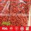 Bulk dried goji berries with wholesale price